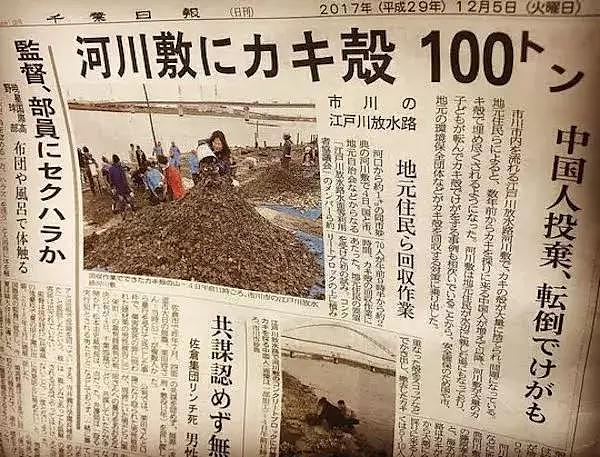 中国人疯狂挖生蚝留下100吨垃圾！日本人不解：这东西有毒怎么吃