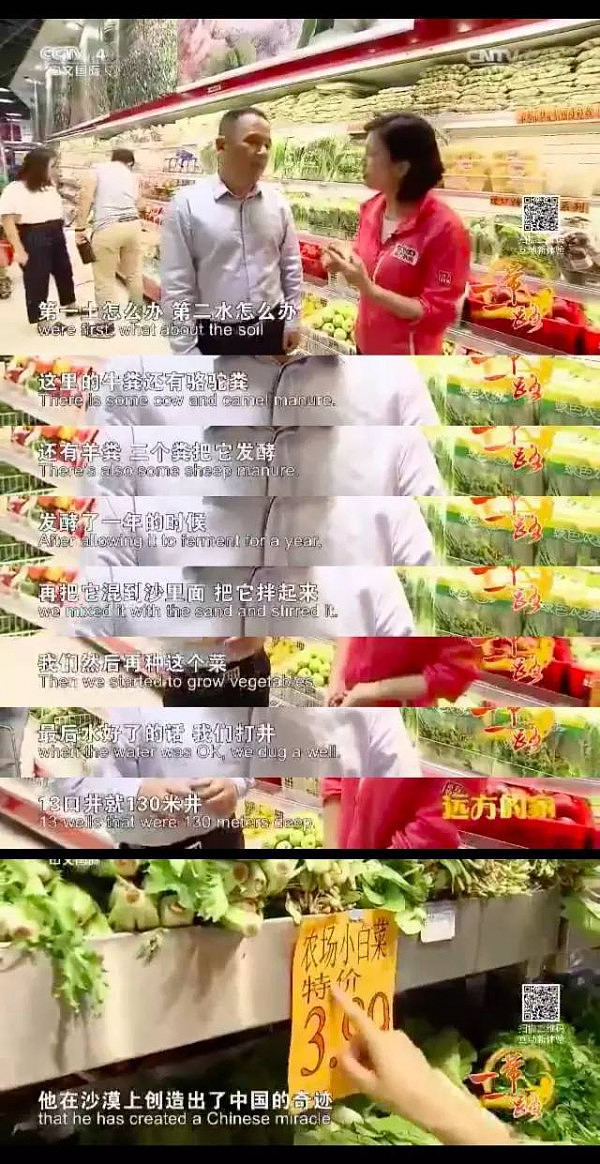 东方神秘力量惊呆老外：无论到哪中国人都能种菜（组图） - 22