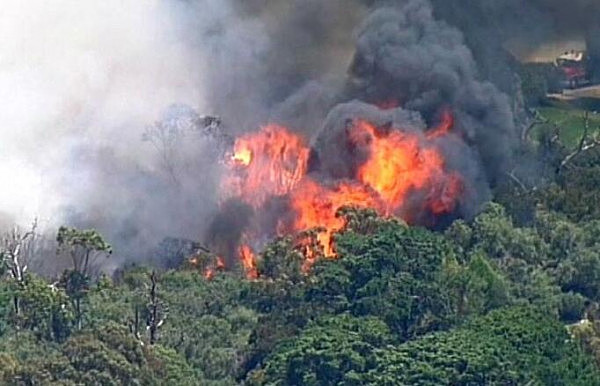 墨尔本东南区突发大火！40幢民宅被紧急疏散 70名消防员赶往现场救援（图） - 5