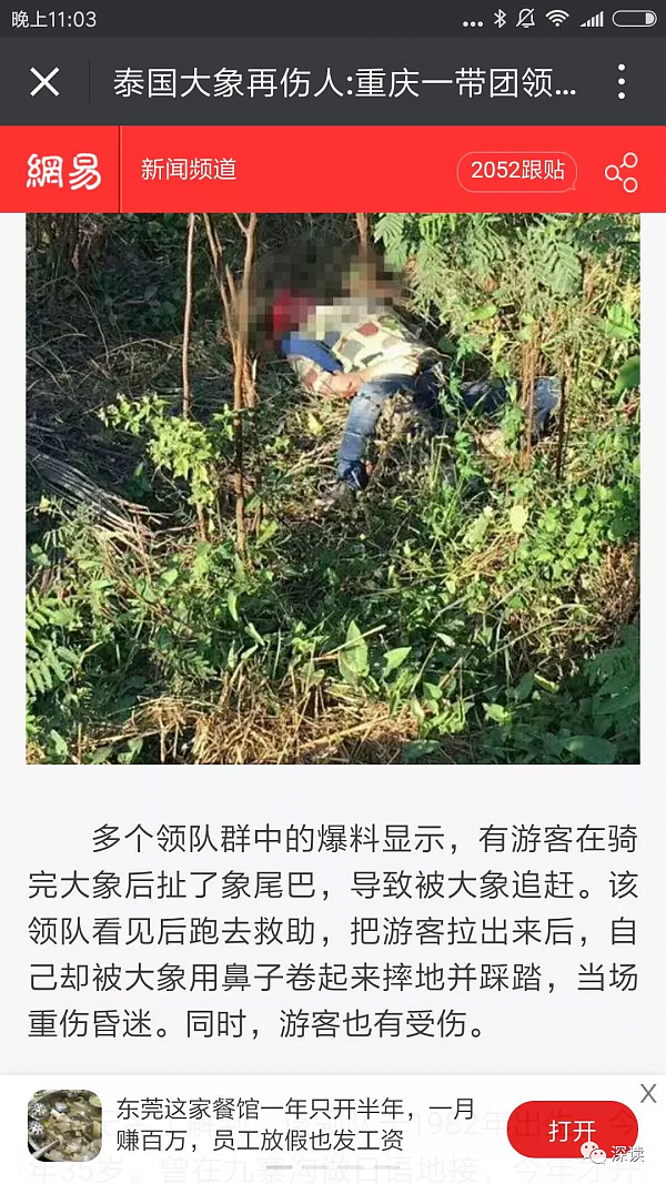 导游被象踩死 中国游客刚澄清没拽象尾又遭误解