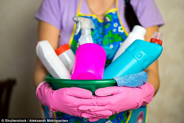 One-third of people who live in Waverley and Woollahra in Sydney's eastern suburbs and in Port Phillip and Stonnington in Melbourne do less than five hours of domestic work a week (stock image)