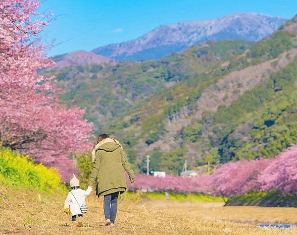 日本一爸爸拍摄了妻子和女儿的互动瞬间火了，被网友疯狂转发… - 15