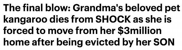 澳洲一78岁老太被亲生儿子赶出价值三百万澳币豪宅，当她打算带走宠物袋鼠时，袋鼠也暴毙身亡！ - 2