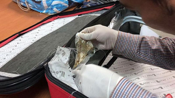 澳籍亚裔女柬埔寨被捕！行李箱内藏近2公斤海洛因，欲从香港转机回澳！ - 4