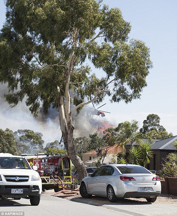 澳teenager玩火闯下大祸！数十幢民宅被疏散 300名消防员紧急出动（视频/组图） - 7