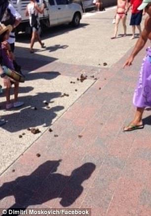 Mounted police horse droppings left on the promenade at Sydney's iconic Bondi Beach