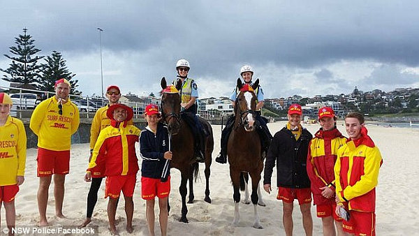 A pair of mounted police horses and officers with life guards on the sands of Bondi Beach