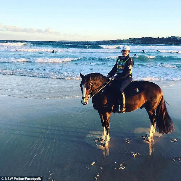 A NSW Police mounted officer on horseback on the sands of Sydney's iconic Bondi Beach 