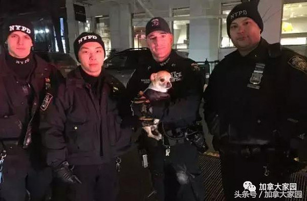何时才懂人性的温暖？纽约警方抓捕23岁中国留学生！原因是……