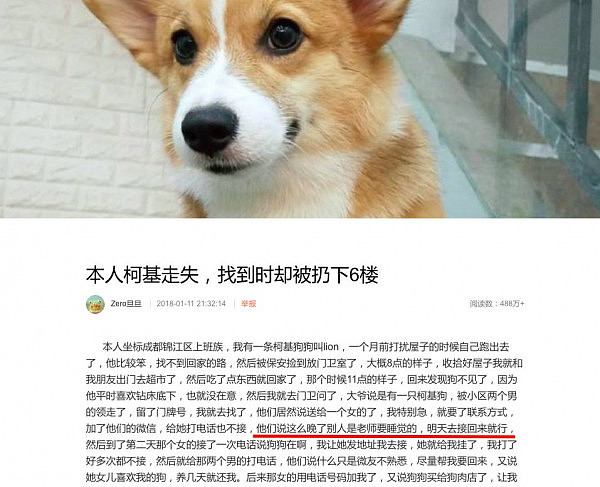 一条狗的死亡，引发了中国2.6亿网友的愤慨，17万人的指责。摔死柯基的时候，何女士也摔死了人性。而澳大利亚竟也发生了相似的事.. - 7