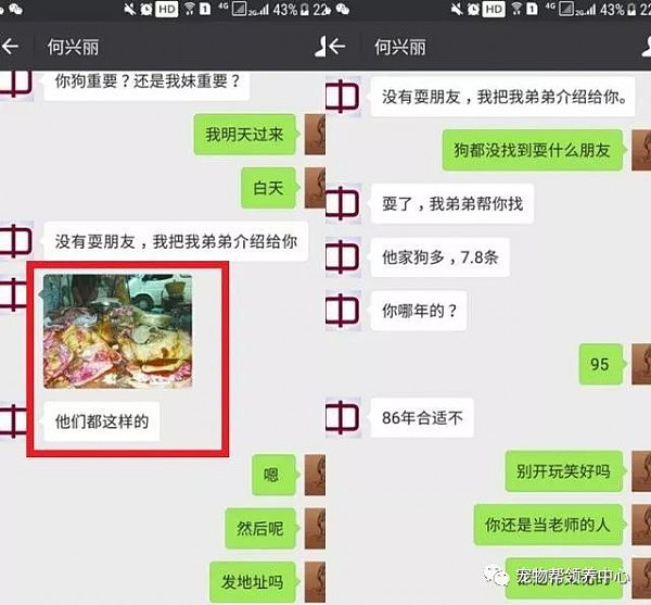 一条狗的死亡，引发了中国2.6亿网友的愤慨，17万人的指责。摔死柯基的时候，何女士也摔死了人性。而澳大利亚竟也发生了相似的事.. - 14