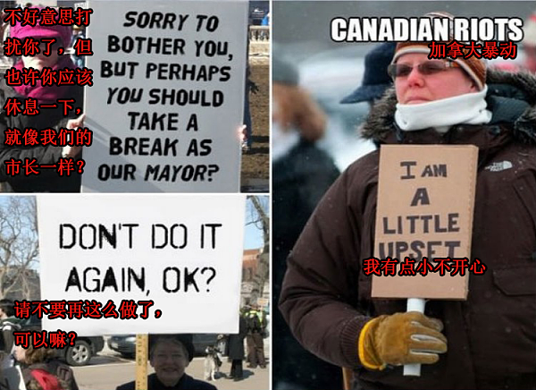 看看这些加拿大人，连抗议示威都在卖萌，实在是太可爱啦！（组图） - 1