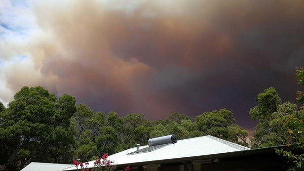 恐怖！澳洲山火景象如同末日降临 黄色浓烟遮天蔽日 民众惊呼：火山喷发了（组图） - 1