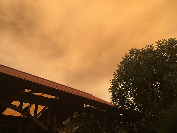 恐怖！澳洲山火景象如同末日降临 黄色浓烟遮天蔽日 民众惊呼：火山喷发了（组图） - 5