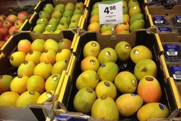 澳洲要出最严食品安全标准，果农已疯，以后你吃的果蔬都是这么来的… - 13