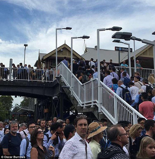 出行预警！悉尼火车及公交司机下周四集体罢工 晚高峰交通或陷入瘫痪（组图/视频） - 3