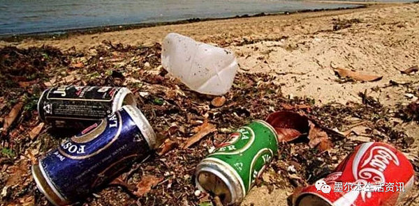 啪啪打脸！谁说澳洲人素质就一定高！著名海滩变垃圾场！成吨烟头塑料瓶密布！ - 4