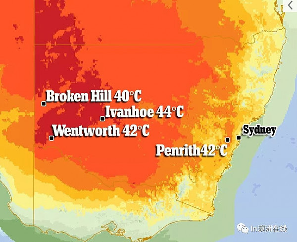 热浪又双叒叕袭击澳洲！再次热到怀疑人生！接连的高温天气，热得连考拉都快受不了了... - 3