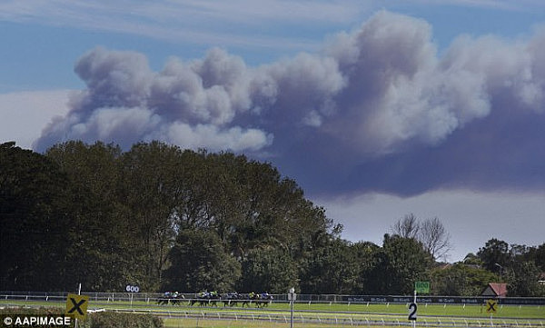 悉尼皇家国家公园疑遭故意纵火！大火至今仍未扑灭 周边区域封锁至下周一（组图） - 3