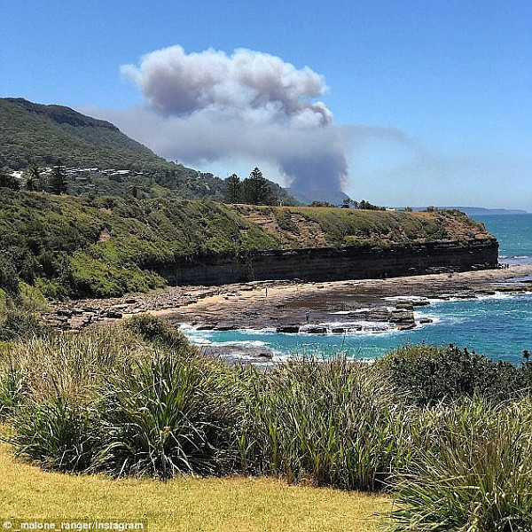 悉尼皇家国家公园疑遭故意纵火！大火至今仍未扑灭 周边区域封锁至下周一（组图） - 4