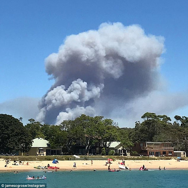 悉尼皇家国家公园疑遭故意纵火！大火至今仍未扑灭 周边区域封锁至下周一（组图） - 5