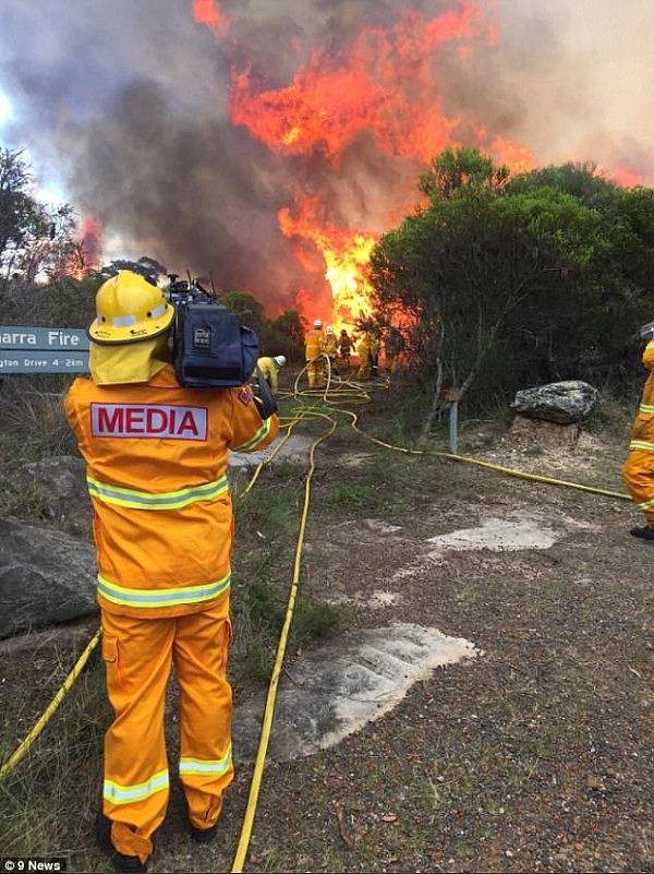 悉尼皇家国家公园疑遭故意纵火！大火至今仍未扑灭 周边区域封锁至下周一（组图） - 6