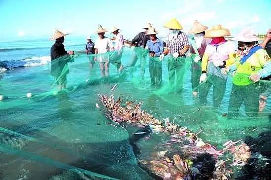 中国90%近海已无鱼可捕，可我们看不到海洋的眼泪（视频） - 19