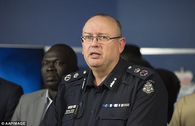 Chief Commissioner Graham Ashton has said it is not the job of Victoria Police to solve Melbourne's African gang crisis