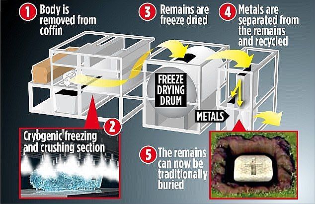 死后不想火化？英国推出「冰葬」服务，冰冻后磨成粉 - 1