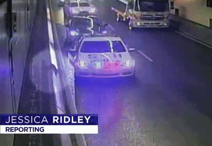 悉尼华人妹子的猫在海港隧道内疯狂逃窜！警察围追堵截、“人仰马翻”才抓住！（图） - 6
