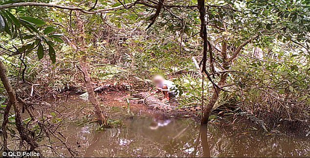 The 69-year-old was seen arriving at a creek in Deeral, south of Cairns in Far North Queensland, before removing the dead crocodile from a trap and tying it to his 4WD with a rope