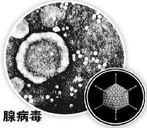 一场“感冒”竟让他陷入濒死！爸妈痛哭，花60万包机送他来杭