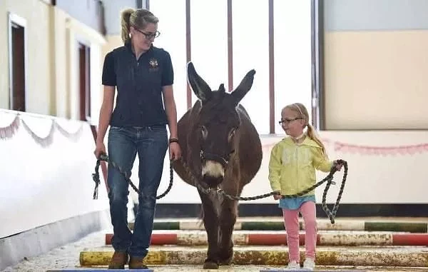 “我有一头小毛驴”，当2岁脑瘫小女孩遇到小毛驴后，奇迹发生了 - 6
