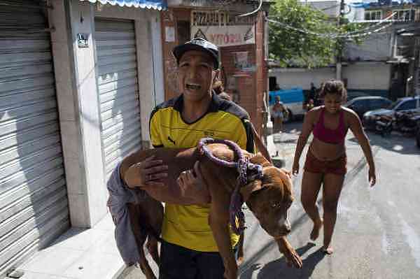 巴西“淡定哥”：警察和毒贩激烈枪战，他在一旁打瞌睡
