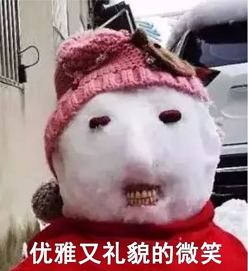 杭州保安下雪天堆出个动物园 网友:地域限制了才华