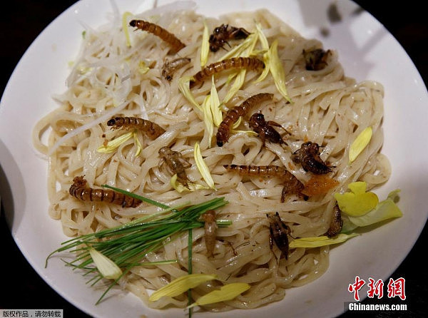 日本推出昆虫拉面，食客排长队品尝暗黑料理(组图) - 6