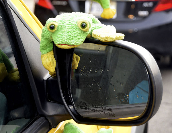 美国女子开车带“蛙儿子”旅行，演绎真实版“旅行青蛙” - 4