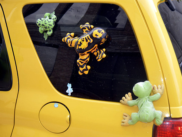 美国女子开车带“蛙儿子”旅行，演绎真实版“旅行青蛙” - 5