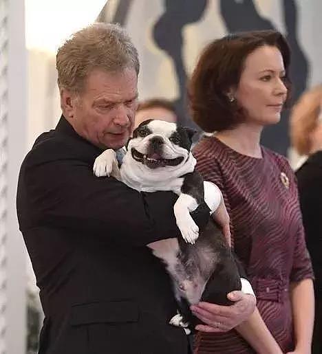 芬兰总统带狗上班，狗狗表情和他一模一样，网友：亲爷俩