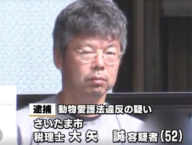 日本残忍的虐猫事件：52岁男子接连虐待13只猫，拍下视频放到网上