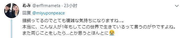 日本残忍的虐猫事件：52岁男子接连虐待13只猫，拍下视频放到网上