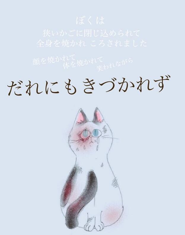 日本残忍的虐猫事件：52岁男子接连虐待13只猫，拍下视频放到网上