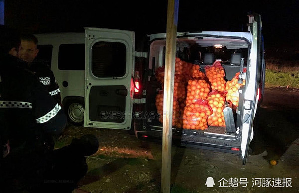 一家人偷四吨橙子塞满三辆车，警察拉开车门惊呆了 - 3