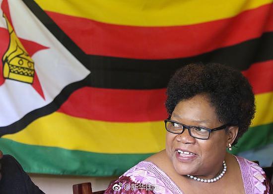 津巴布韦前副总统遇袭 曾被穆加贝夫人指认搞阴谋