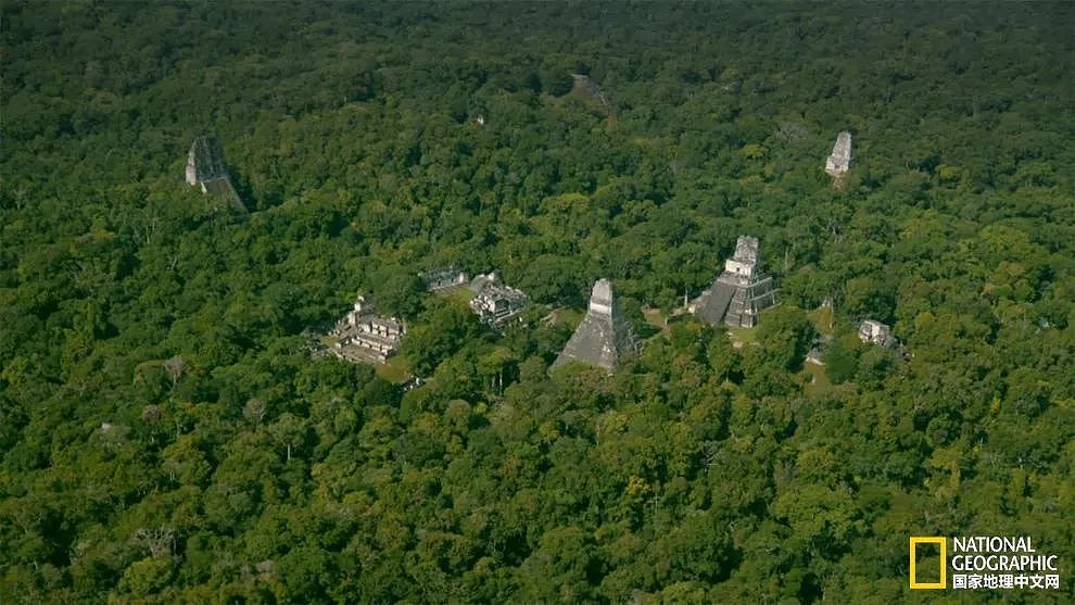 考古重大发现!科学家找到玛雅文明“特大都市”(图) - 1