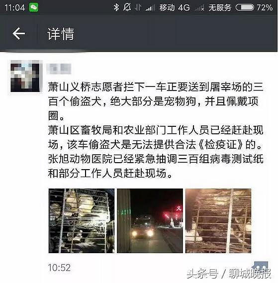 高速口志愿者“拦下”装满300只狗的货车，“该拦吗？”网友吵翻