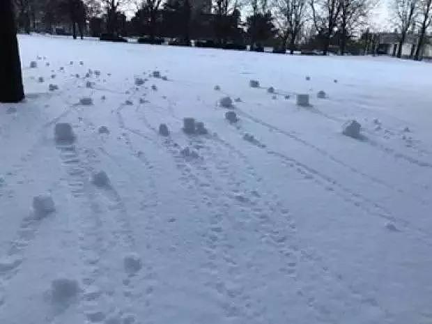 加拿大的雪成精了！竟然还会“自动滚雪球”？视频为证！