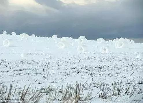 加拿大的雪成精了！竟然还会“自动滚雪球”？视频为证！