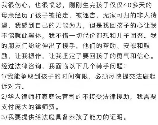 华人母亲产后40天遭警方凌晨强行拷走！剧情竟然反转了…… - 7