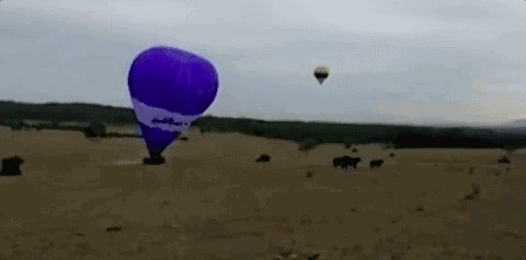 突发！17人遇险！16人被抛出！澳洲再发热气球坠地事故！500米高空熄火，生死瞬间惊心动魄！ - 37